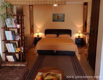 Studio apartment and room for rent, private accommodation in city Igalo, Montenegro - main pic